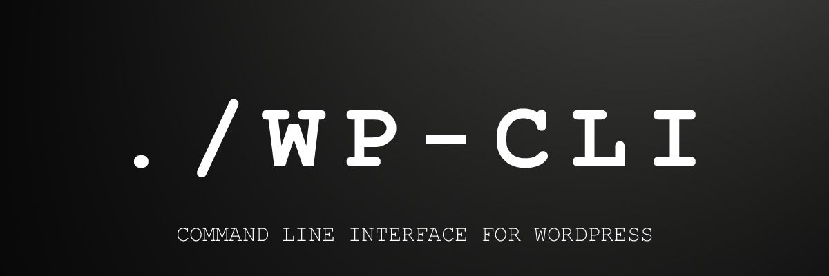 WordPress beheren via de terminal met WP-CLI
