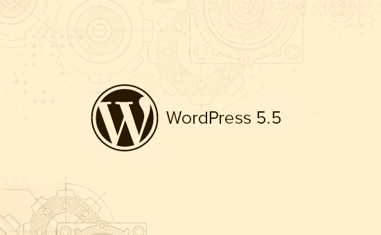 Wat is er nieuw in WordPress 5.5?