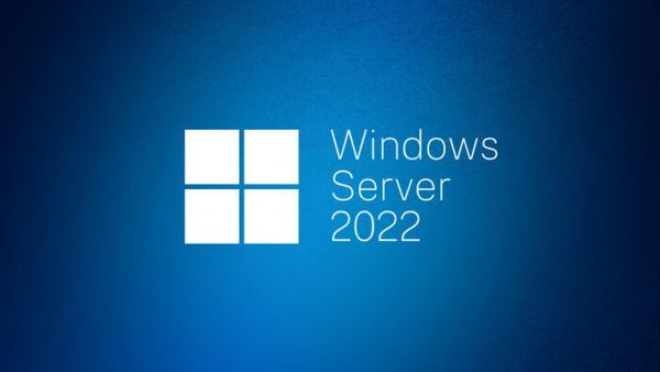 Nu beschikbaar voor VPS: Windows Server 2022, AlmaLinux en Rocky Linux