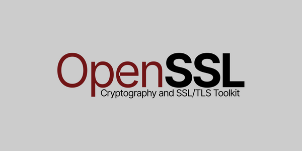 Veiligheidslek in OpenSSL; onze systemen zijn gecheckt